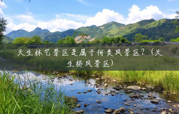 天生林艺景区是属于何类风景区？(天生桥风景区)