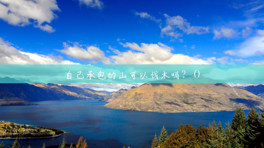 自己承包的山可以伐木吗?() 自己承包的山可以伐木吗?()