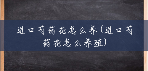 进口芍药花怎么养(进口芍药花怎么养殖) 进口芍药花怎么养(进口芍药花怎么养殖)