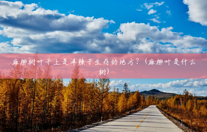 麻柳树叶子上是洋辣子生存的地方?(麻柳叶是什么树) 麻柳树叶子上是洋辣子生存的地方?(麻柳叶是什么树)
