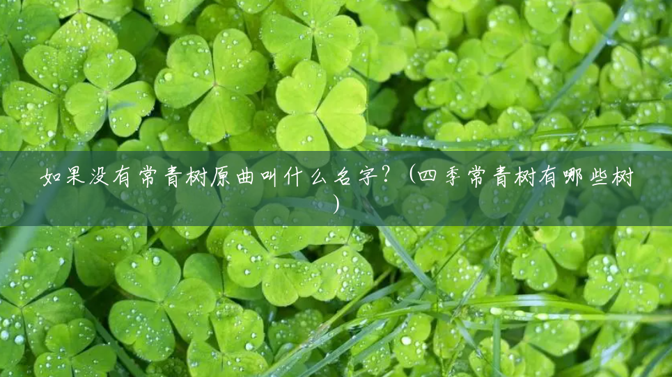 如果没有常青树原曲叫什么名字?(四季常青树有哪些树) 如果没有常青树原曲叫什么名字?(四季常青树有哪些树)