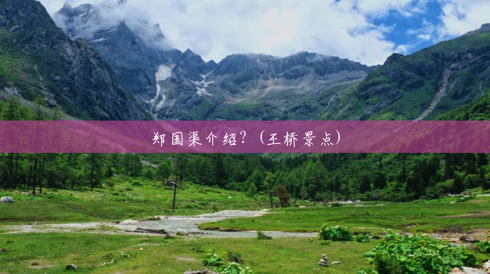 郑国渠介绍?(王桥景点) 郑国渠介绍?(王桥景点)