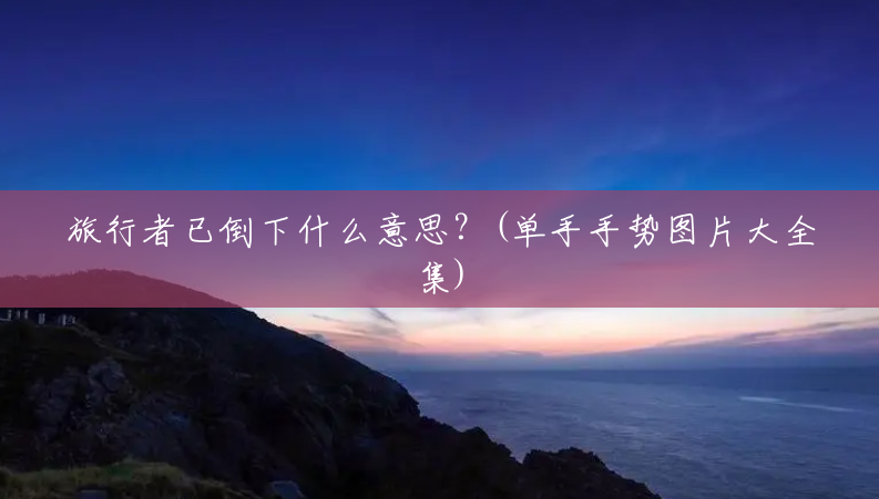 旅行者已倒下什么意思?(单手手势图片大全集) 旅行者已倒下什么意思?(单手手势图片大全集)