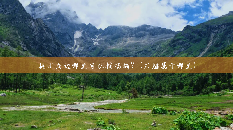 杭州周边哪里可以摘杨梅?(东魁属于哪里) 杭州周边哪里可以摘杨梅?(东魁属于哪里)