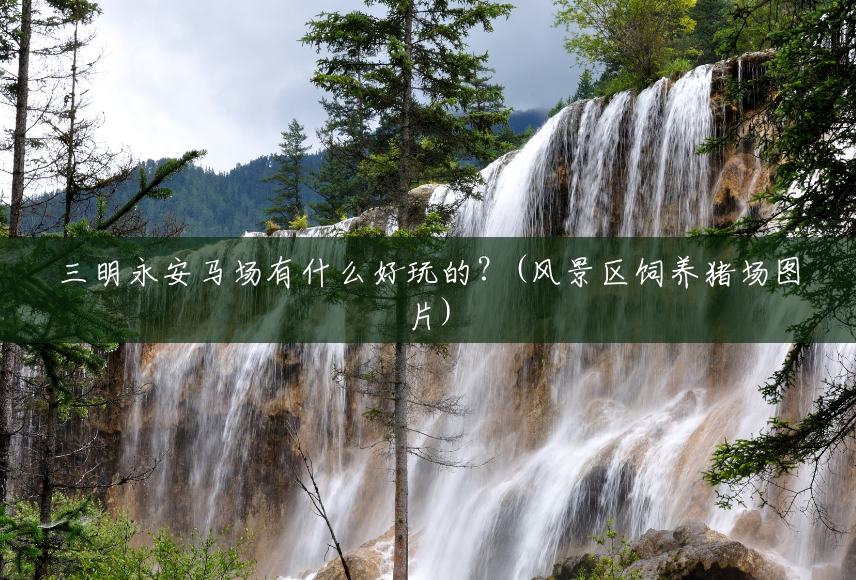 三明永安马场有什么好玩的？(风景区饲养猪场图片)