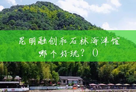 昆明融创和石林海洋馆哪个好玩？()