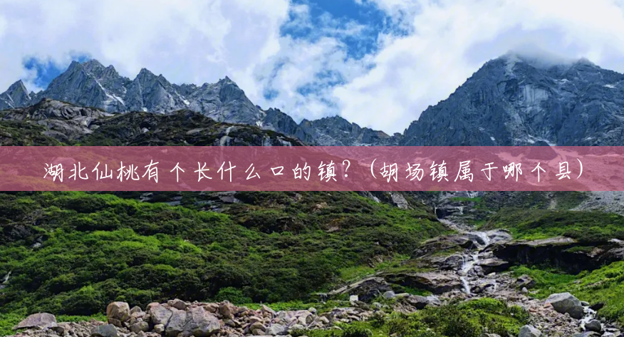 湖北仙桃有个长什么口的镇？(胡场镇属于哪个县)