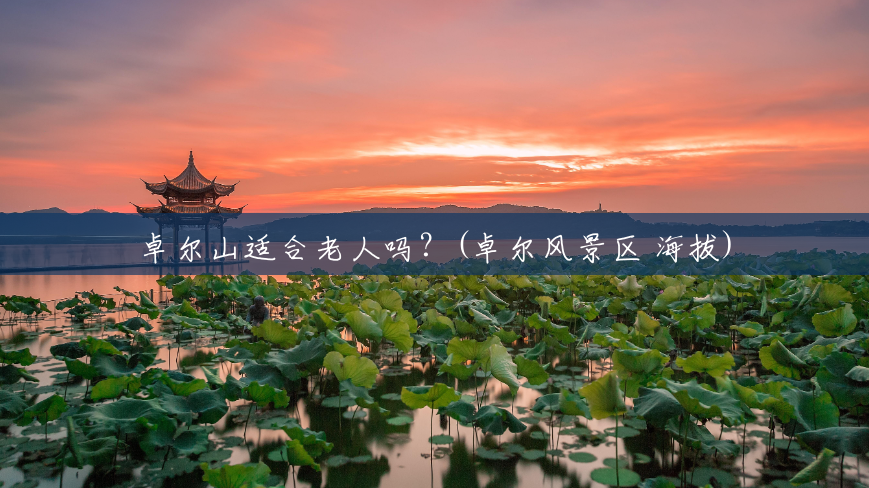 卓尔山适合老人吗?(卓尔风景区 海拔) 卓尔山适合老人吗?(卓尔风景区 海拔)