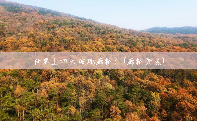 世界上四大玻璃廊桥？(廊桥景点)