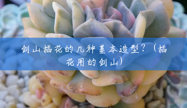 剑山插花的几种基本造型?(插花用的剑山) 剑山插花的几种基本造型?(插花用的剑山)