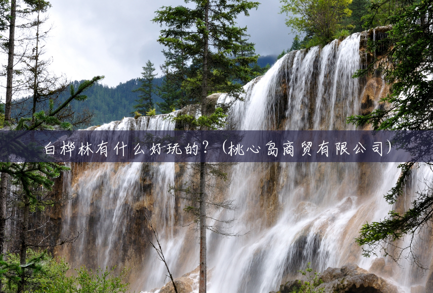白桦林有什么好玩的?(桃心岛商贸有限公司) 白桦林有什么好玩的?(桃心岛商贸有限公司)