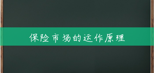 保险市场的运作原理 保险市场的运作原理