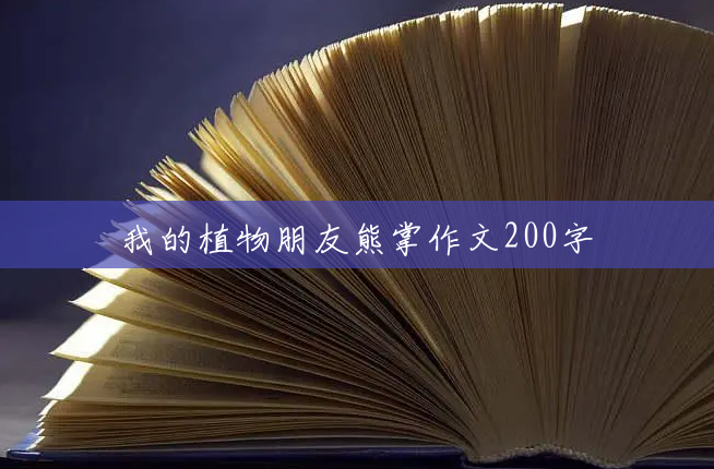 我的植物朋友熊掌作文200字 我的植物朋友熊掌作文200字