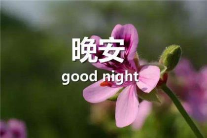 我要找新年祝福语短语