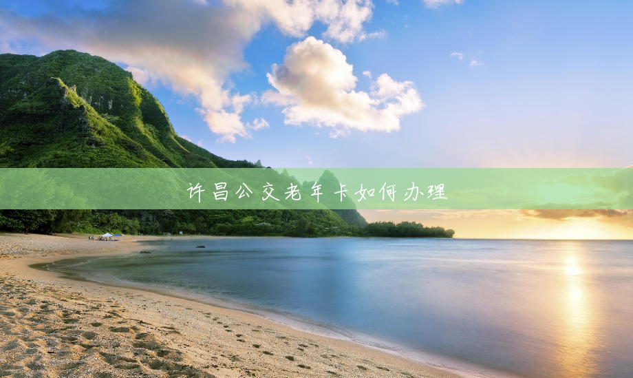 许昌公交老年卡如何办理 许昌公交老年卡如何办理
