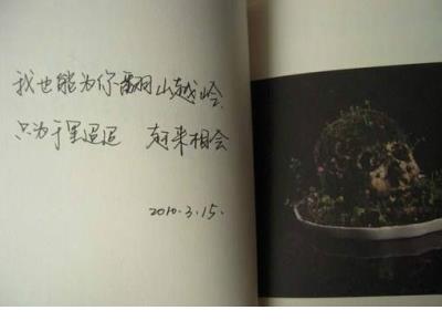 cpdd的搞笑话语
