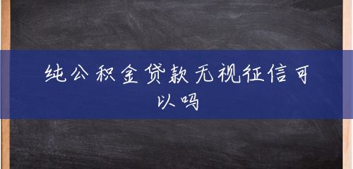 纯公积金贷款无视征信可以吗 纯公积金贷款无视征信可以吗