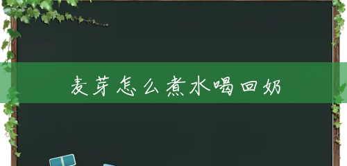 麦芽怎么煮水喝回奶 麦芽怎么煮水喝回奶