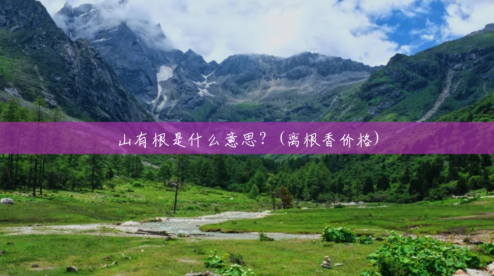山有根是什么意思?(离根香价格) 山有根是什么意思?(离根香价格)