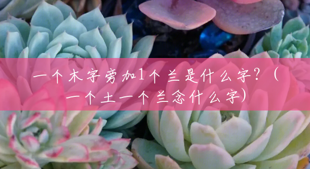 一个木字旁加1个兰是什么字?(一个土一个兰念什么字) 一个木字旁加1个兰是什么字?(一个土一个兰念什么字)