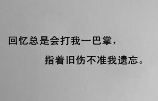 母亲好词好句好段