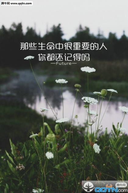 教师节经典短信
