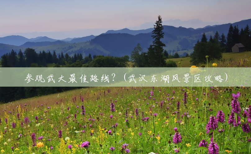 参观武大最佳路线?(武汉东湖风景区攻略) 参观武大最佳路线?(武汉东湖风景区攻略)