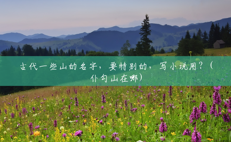 古代一些山的名字,要特别的,写小说用?(仆勾山在哪) 古代一些山的名字,要特别的,写小说用?(仆勾山在哪)