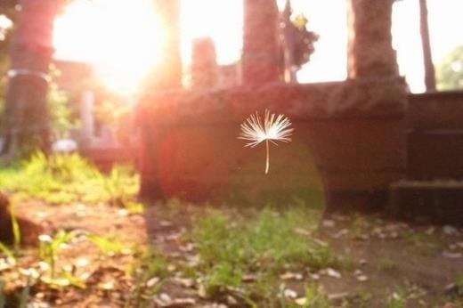 表白情话15字以内
