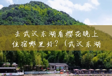 去武汉东湖看樱花晚上住宿哪里好?(武汉东湖风景区附近住宿推荐) 去武汉东湖看樱花晚上住宿哪里好?(武汉东湖风景区附近住宿推荐)