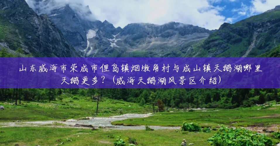 山东威海市荣成市俚岛镇烟墩角村与成山镇天鹅湖哪里天鹅更多?(威海天鹅湖风景区介绍) 山东威海市荣成市俚岛镇烟墩角村与成山镇天鹅湖哪里天鹅更多?(威海天鹅湖风景区介绍)