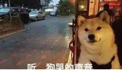 情人节表白情书大全