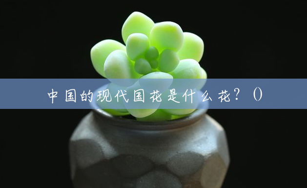 中国的现代国花是什么花？()
