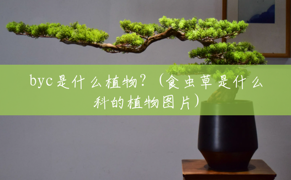 byc是什么植物?(食虫草是什么科的植物图片) byc是什么植物?(食虫草是什么科的植物图片)