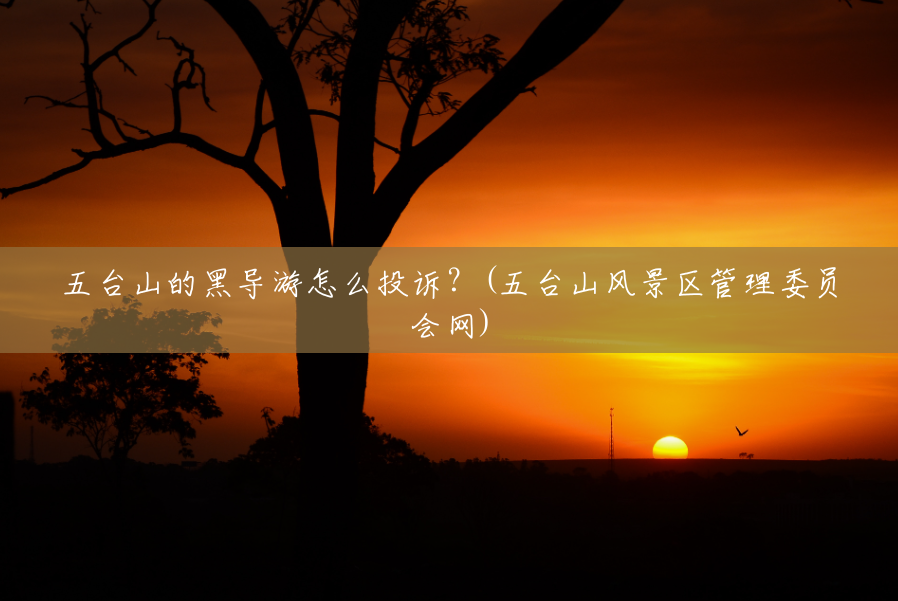 五台山的黑导游怎么投诉?(五台山风景区管理委员会网) 五台山的黑导游怎么投诉?(五台山风景区管理委员会网)