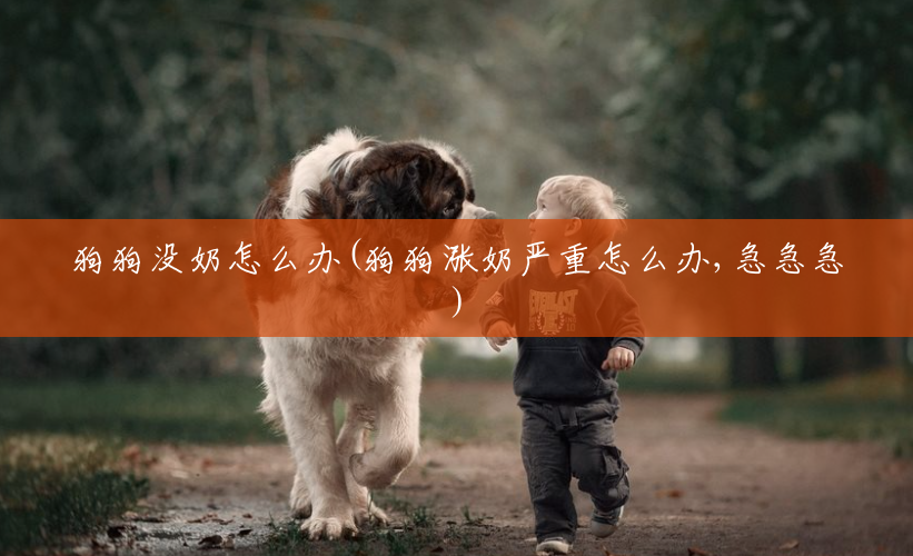 狗狗没奶怎么办(狗狗涨奶严重怎么办,急急急) 狗狗没奶怎么办(狗狗涨奶严重怎么办,急急急)