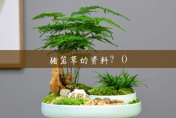 猪笼草的资料?() 猪笼草的资料?()