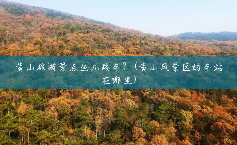 黄山旅游景点坐几路车?(黄山风景区的车站在哪里) 黄山旅游景点坐几路车?(黄山风景区的车站在哪里)