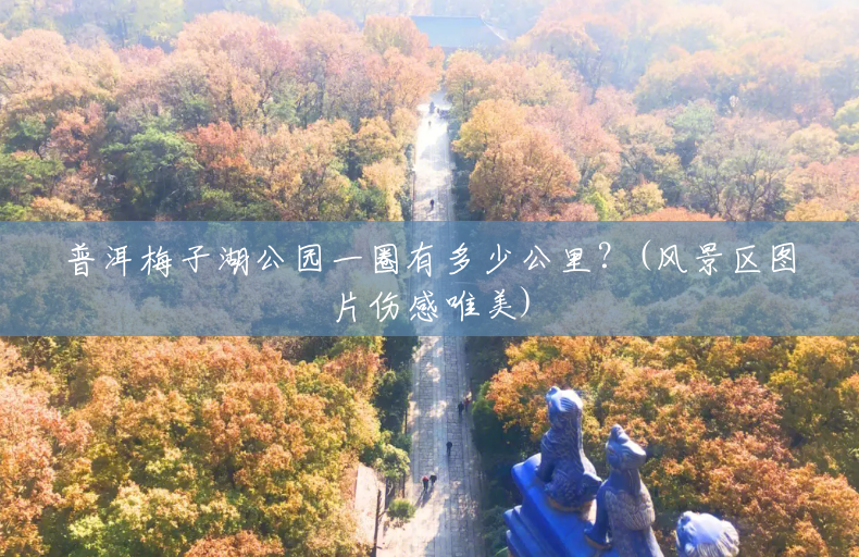 普洱梅子湖公园一圈有多少公里?(风景区图片伤感唯美) 普洱梅子湖公园一圈有多少公里?(风景区图片伤感唯美)
