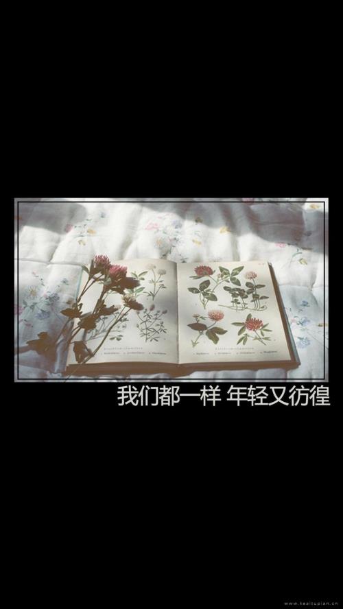 加班的励志心情短语