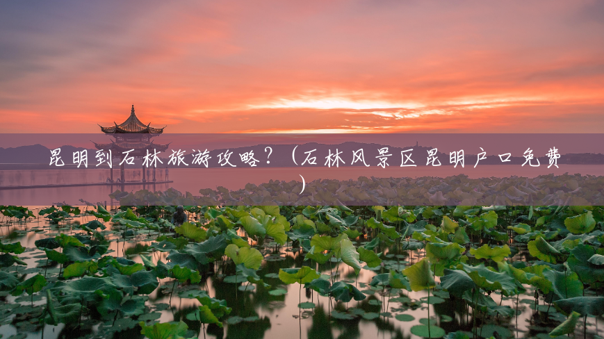 昆明到石林旅游攻略?(石林风景区昆明户口免费) 昆明到石林旅游攻略?(石林风景区昆明户口免费)