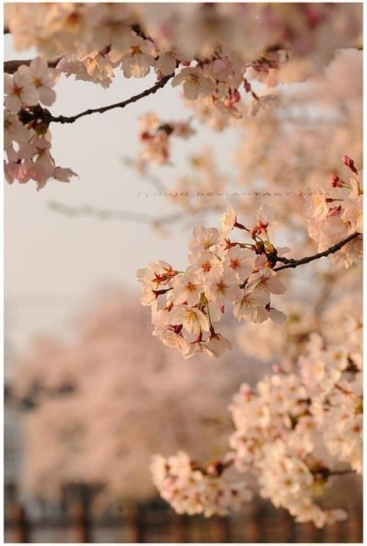 关于五四青年节的宣传标语_五四青年节活动标语