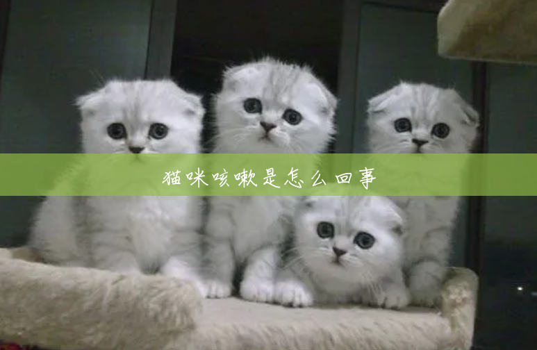 猫咪咳嗽是怎么回事 猫咪咳嗽是怎么回事