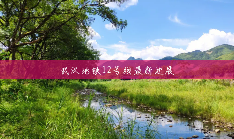 武汉地铁12号线最新进展