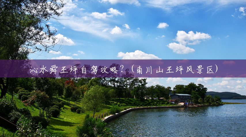 沁水舜王坪自驾攻略？(南川山王坪风景区)