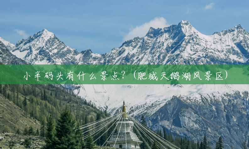 小辛码头有什么景点?(肥城天鹅湖风景区) 小辛码头有什么景点?(肥城天鹅湖风景区)