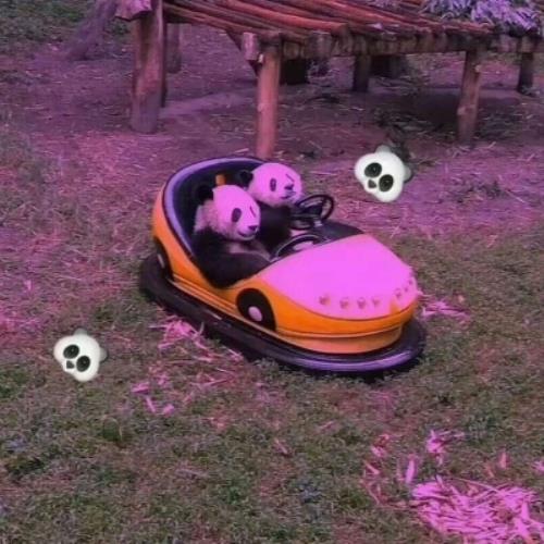 让自己醒悟的句子