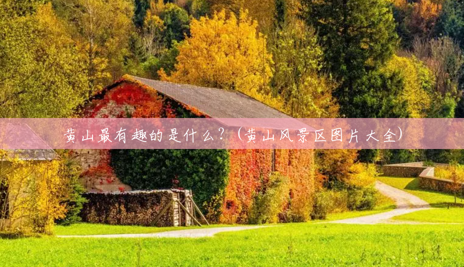 黄山最有趣的是什么?(黄山风景区图片大全) 黄山最有趣的是什么?(黄山风景区图片大全)