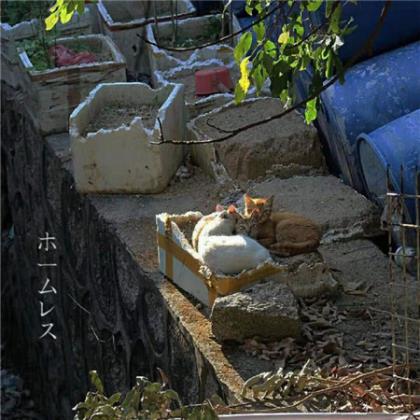感谢医生经典短信