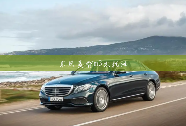 东风菱智m3太耗油 东风菱智m3太耗油